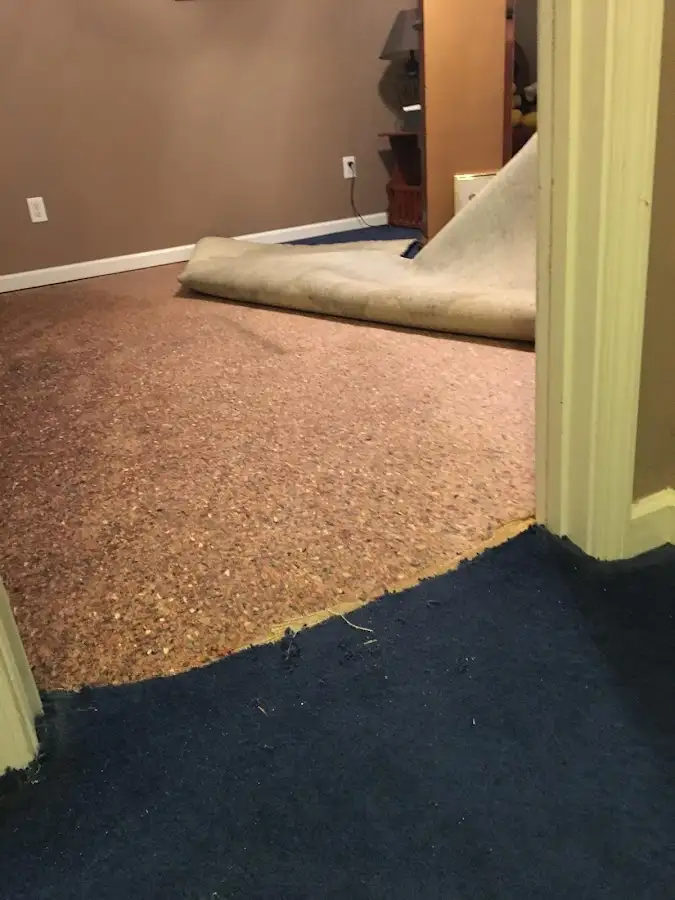 Carpet pad removal revealing water damage during Drying & Dehumidification in Biloxi