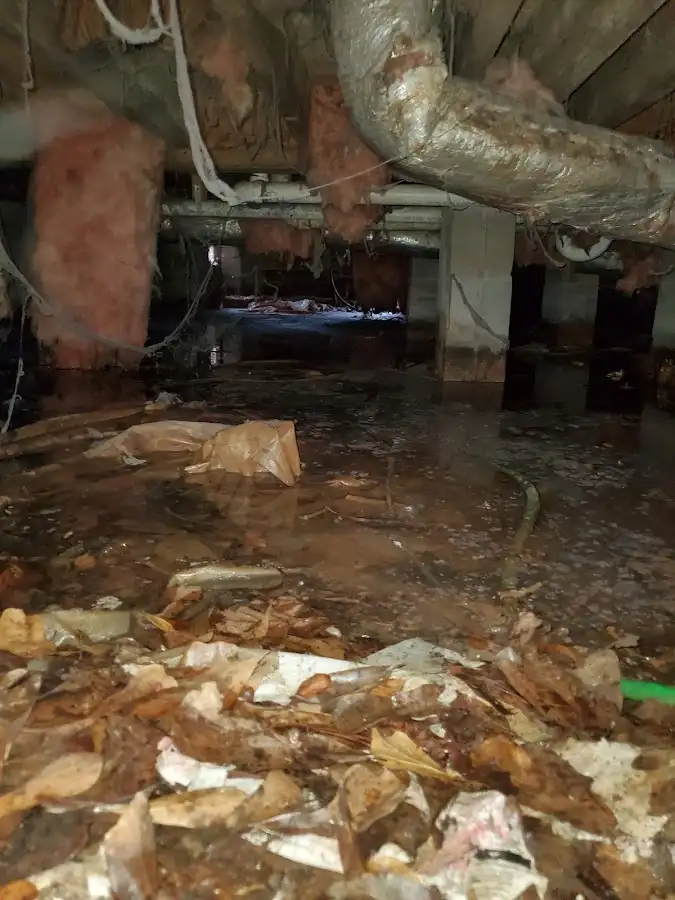 Crawl space flood assessment for Leak Detection & Repair in Biloxi