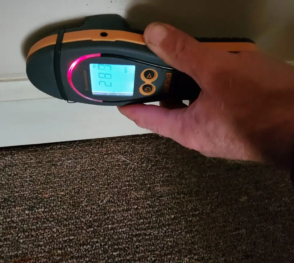 Moisture detection at baseboard during Sewage Cleanup & Sanitation in Biloxi